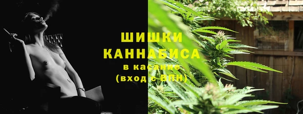 прущие грибы Лиски