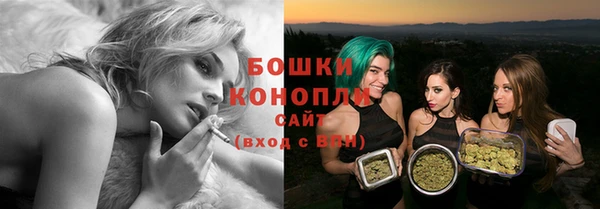 прущие грибы Лиски
