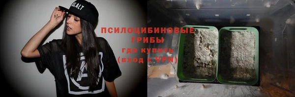прущие грибы Лиски