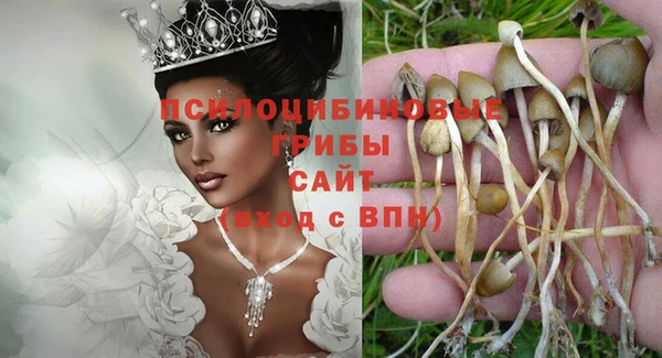 прущие грибы Лиски