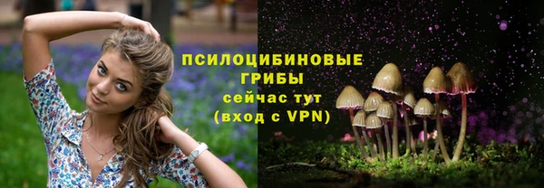 a pvp Липки