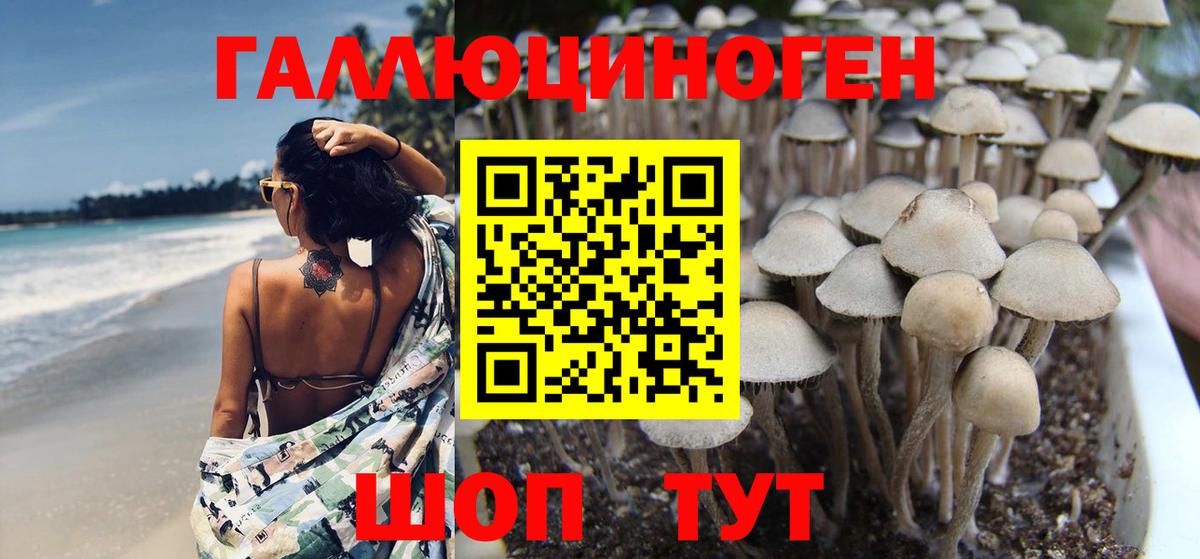 Псилоцибиновые грибы прущие грибы Дивногорск