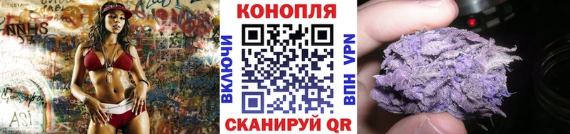 купить  цена  Дивногорск  Канабис Amnesia 