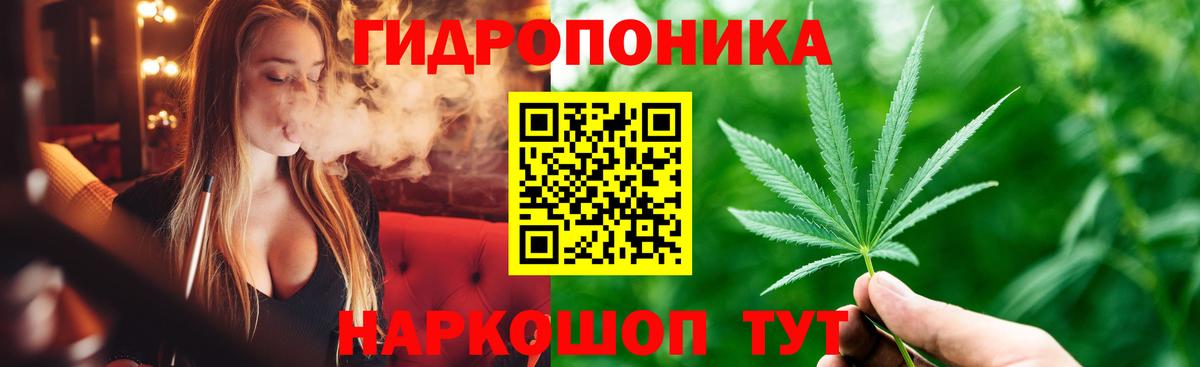Конопля White Widow Дивногорск